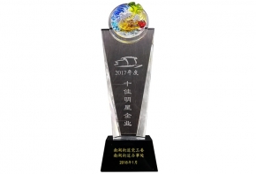 2017年度十佳明星企業(yè)