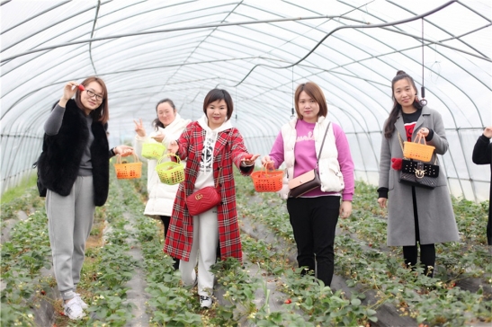 三八婦女節(jié)