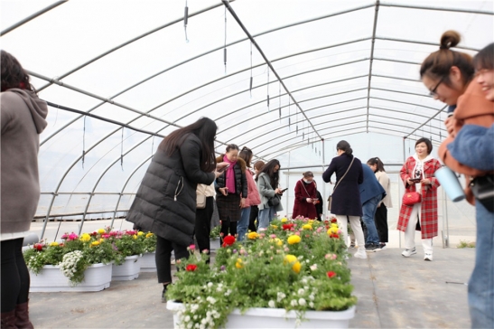 三八婦女節(jié)