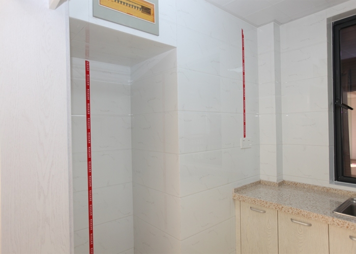 英才公寓302裝飾