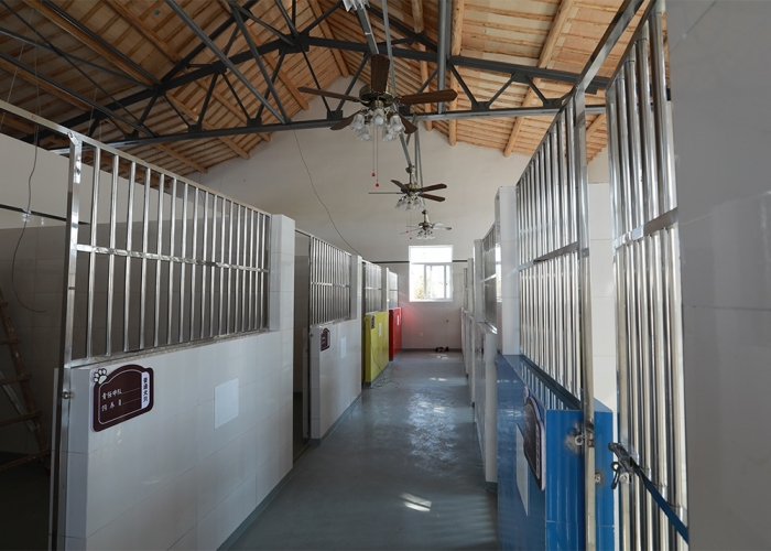 乍浦流浪狗收容所裝飾